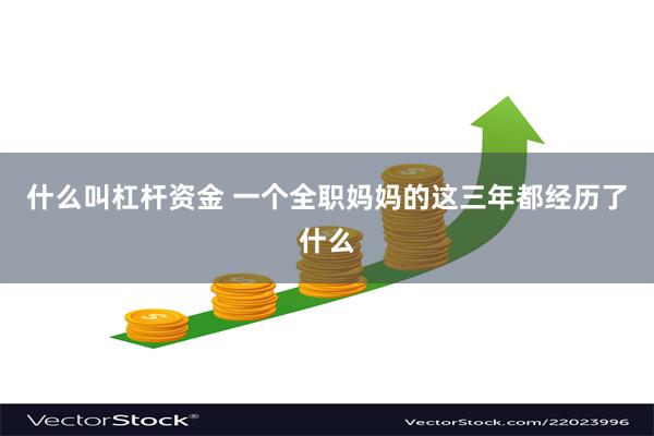 什么叫杠杆资金 一个全职妈妈的这三年都经历了什么