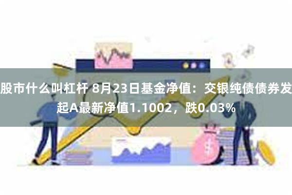 股市什么叫杠杆 8月23日基金净值：交银纯债债券发起A最新净值1.1002，跌0.03%