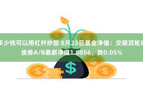 多少钱可以用杠杆炒股 8月23日基金净值：交银双轮动债券A/B最新净值1.0856，跌0.05%