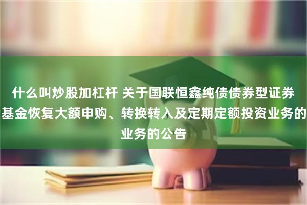 什么叫炒股加杠杆 关于国联恒鑫纯债债券型证券投资基金恢复大额申购、转换转入及定期定额投资业务的公告