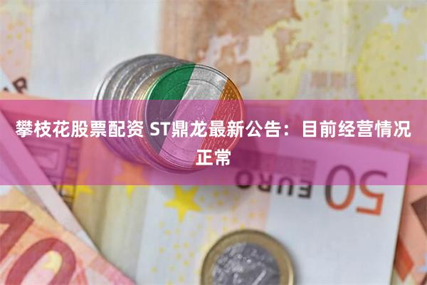 攀枝花股票配资 ST鼎龙最新公告：目前经营情况正常