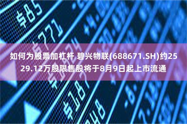 如何为股票加杠杆 碧兴物联(688671.SH)约2529.12万股限售股将于8月9日起上市流通