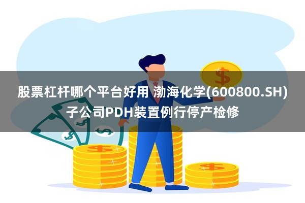 股票杠杆哪个平台好用 渤海化学(600800.SH)子公司PDH装置例行停产检修