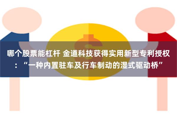 哪个股票能杠杆 金道科技获得实用新型专利授权：“一种内置驻车及行车制动的湿式驱动桥”