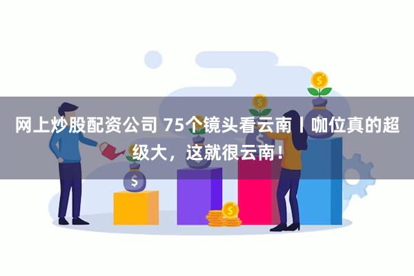 网上炒股配资公司 75个镜头看云南丨咖位真的超级大，这就很云南！