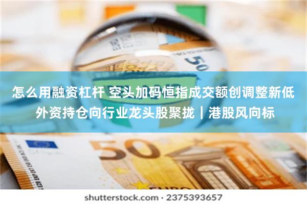 怎么用融资杠杆 空头加码恒指成交额创调整新低 外资持仓向行业龙头股聚拢｜港股风向标