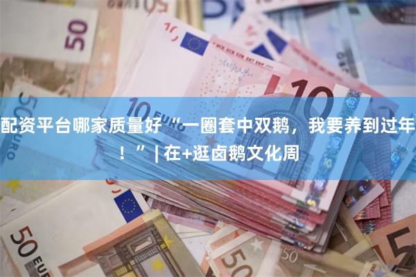 配资平台哪家质量好 “一圈套中双鹅，我要养到过年！” | 在+逛卤鹅文化周