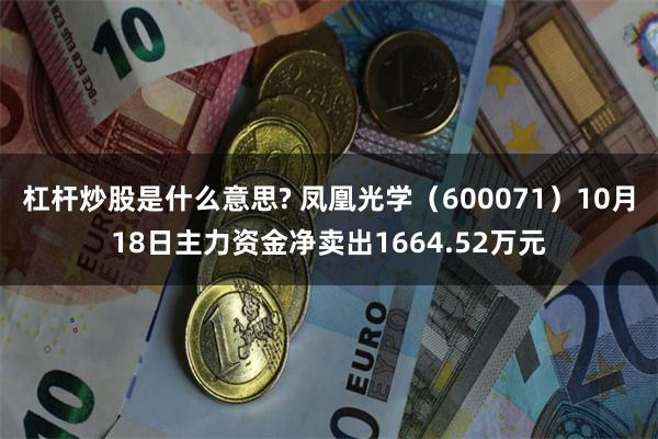 杠杆炒股是什么意思? 凤凰光学（600071）10月18日主力资金净卖出1664.52万元