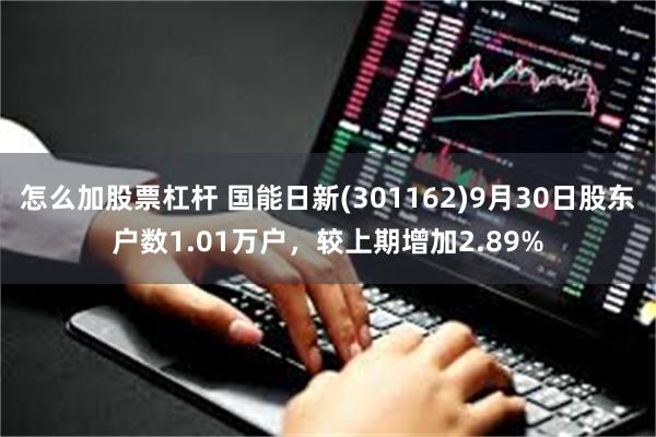 怎么加股票杠杆 国能日新(301162)9月30日股东户数1.01万户，较上期增加2.89%