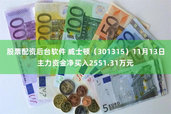 股票配资后台软件 威士顿（301315）11月13日主力资金净买入2551.31万元