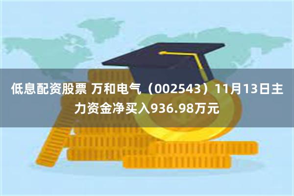 低息配资股票 万和电气（002543）11月13日主力资金净买入936.98万元