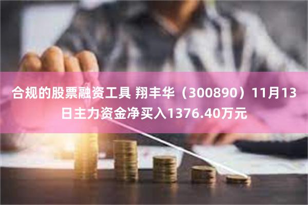 合规的股票融资工具 翔丰华（300890）11月13日主力资金净买入1376.40万元