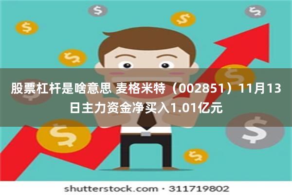 股票杠杆是啥意思 麦格米特（002851）11月13日主力资金净买入1.01亿元