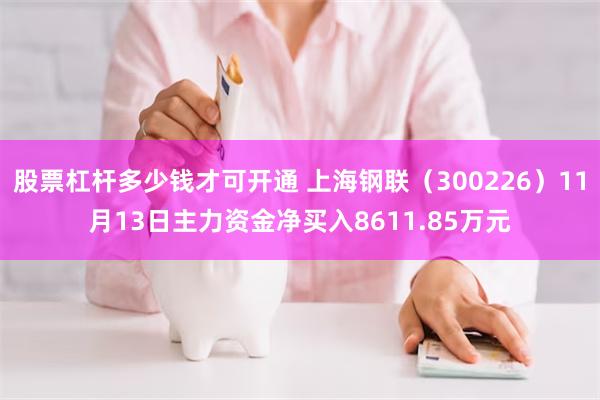 股票杠杆多少钱才可开通 上海钢联（300226）11月13日主力资金净买入8611.85万元