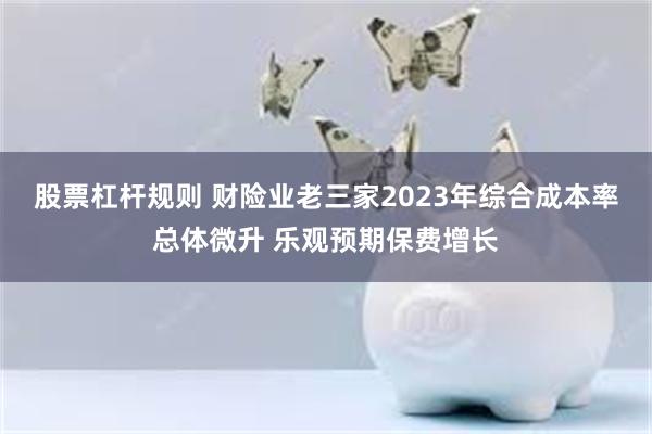 股票杠杆规则 财险业老三家2023年综合成本率总体微升 乐观预期保费增长