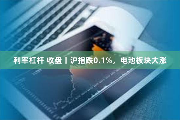 利率杠杆 收盘丨沪指跌0.1%，电池板块大涨